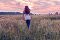 Sundown in the Wheat Field