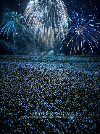 Fireworks Over Flax Fields