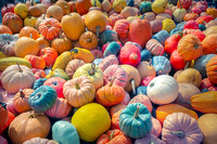 Rainbow Pumpkins
