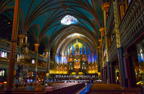 Notre Dame Spectacular