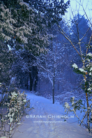 Kincardine Trails - Winter