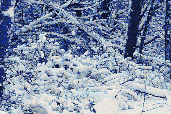 Blue Willow Snow