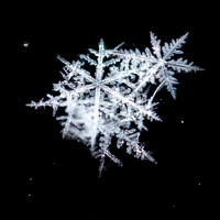 Snowflakes In Space