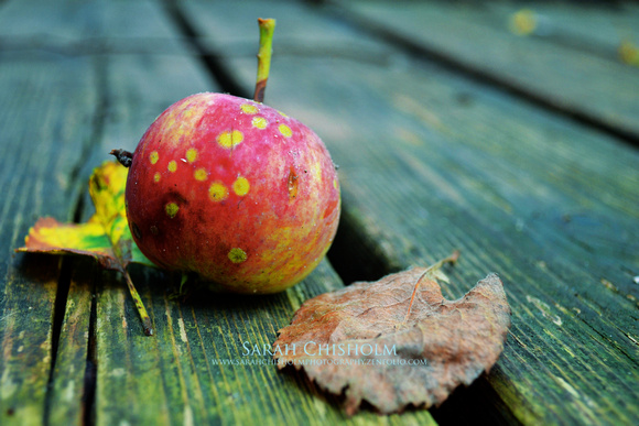 Freckled Apple