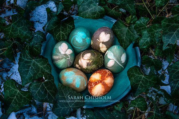Botanical Eggs