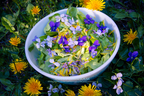 Wildflower Salad