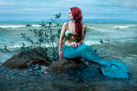 Lake Huron Mermaid