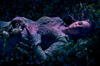 Twilight Descends Over Sleeping Beauty (Virgo)