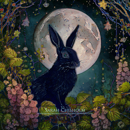 Lagomorph Garden