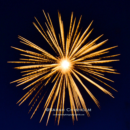 Dandelion Firework