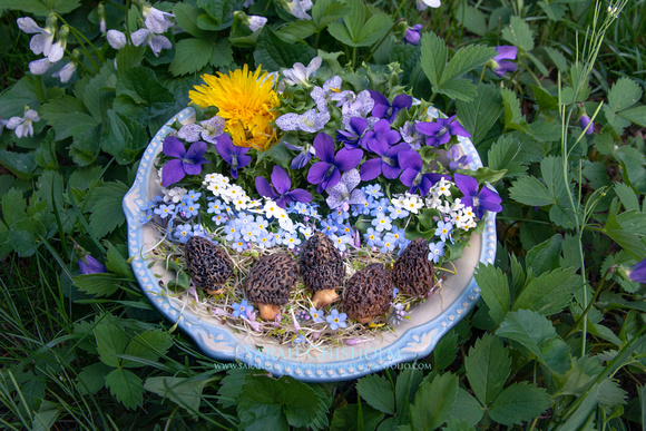 Wildflower & Morel Salad Bowl