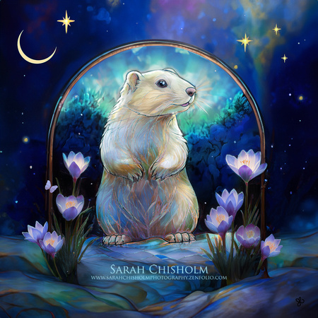 Wiarton Willie
