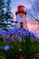 Lighthouse Florals
